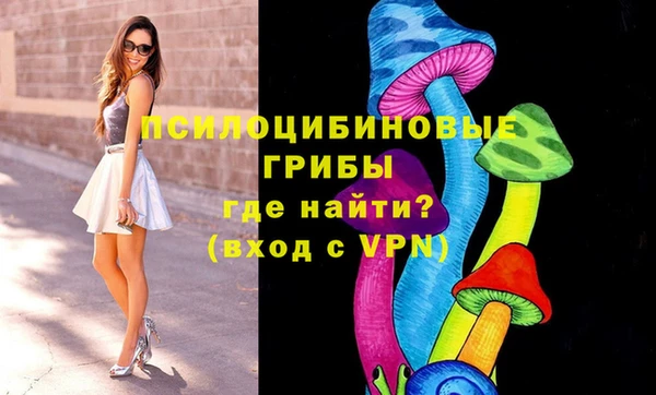 бутират Нягань