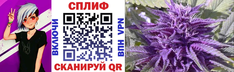 где можно купить наркотик  Судогда  Шишки марихуана Bruce Banner 